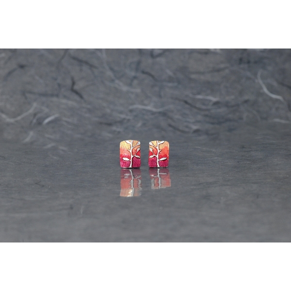 Pendientes Solpor Plata...