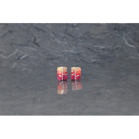 Pendientes Solpor Plata Ardentia